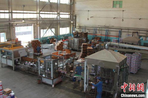 一桶漆里的國家重器 甘肅化工五十載破壟斷，技術精華鑄就重點工程新底色